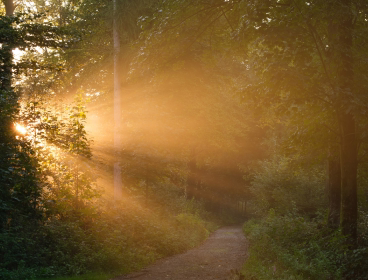 Our Vision Image@1x Our Vision